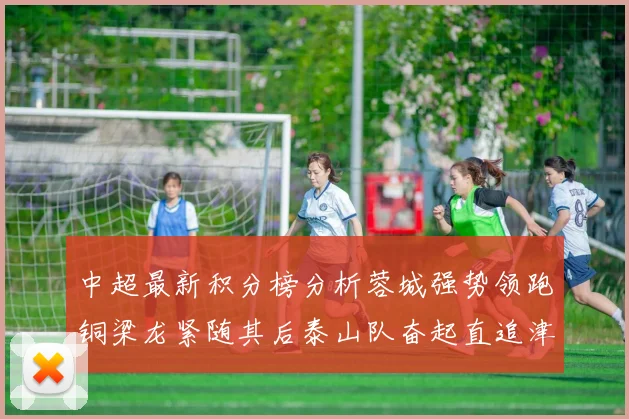 中超最新积分榜分析蓉城强势领跑铜梁龙紧随其后泰山队奋起直追津门虎仍需努力