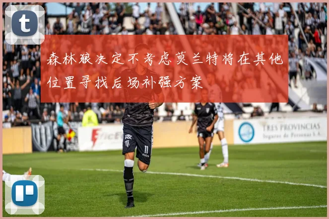 森林狼决定不考虑莫兰特将在其他位置寻找后场补强方案